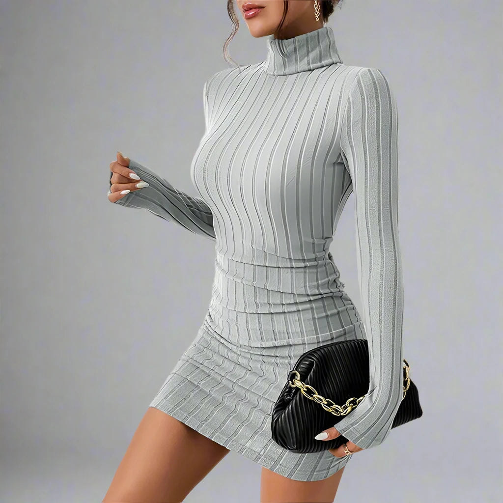 Long Sleeve Turtleneck Mini Dress