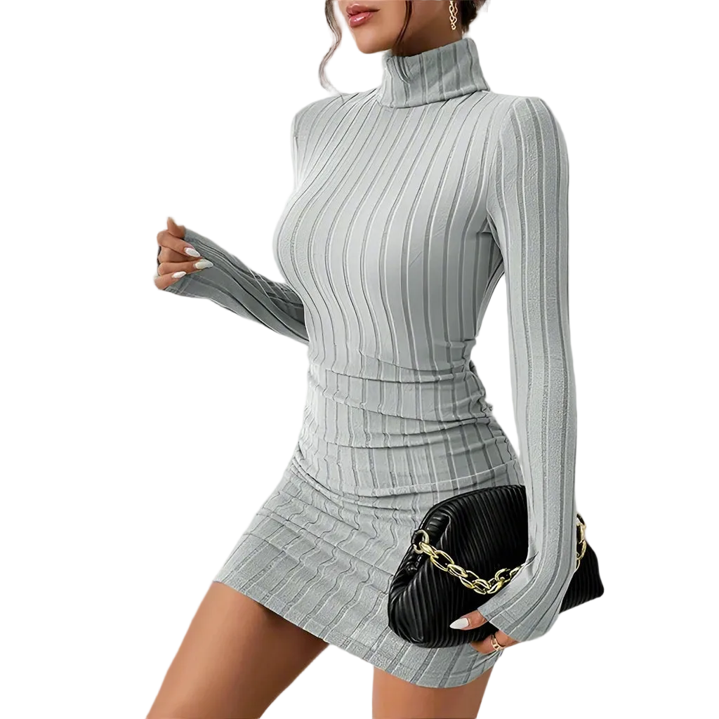 Long Sleeve Turtleneck Mini Dress