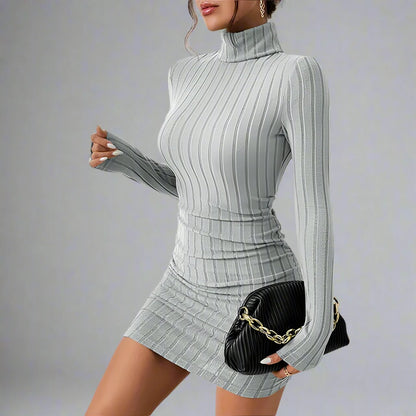 Long Sleeve Turtleneck Mini Dress