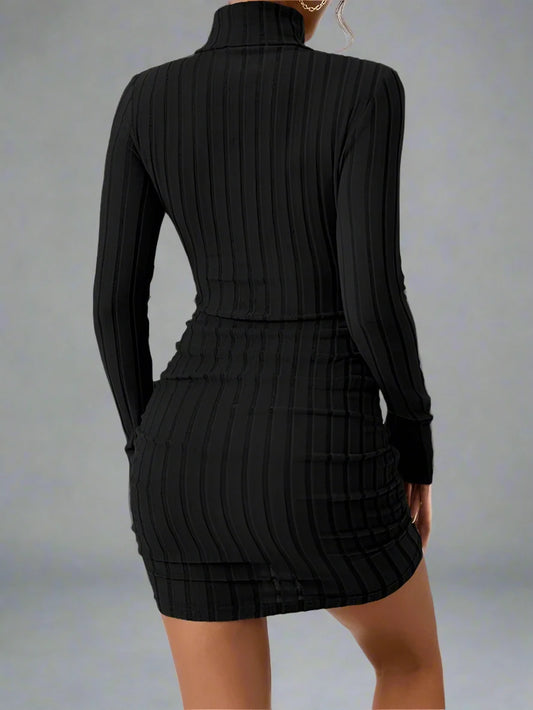 Long Sleeve Turtleneck Mini Dress